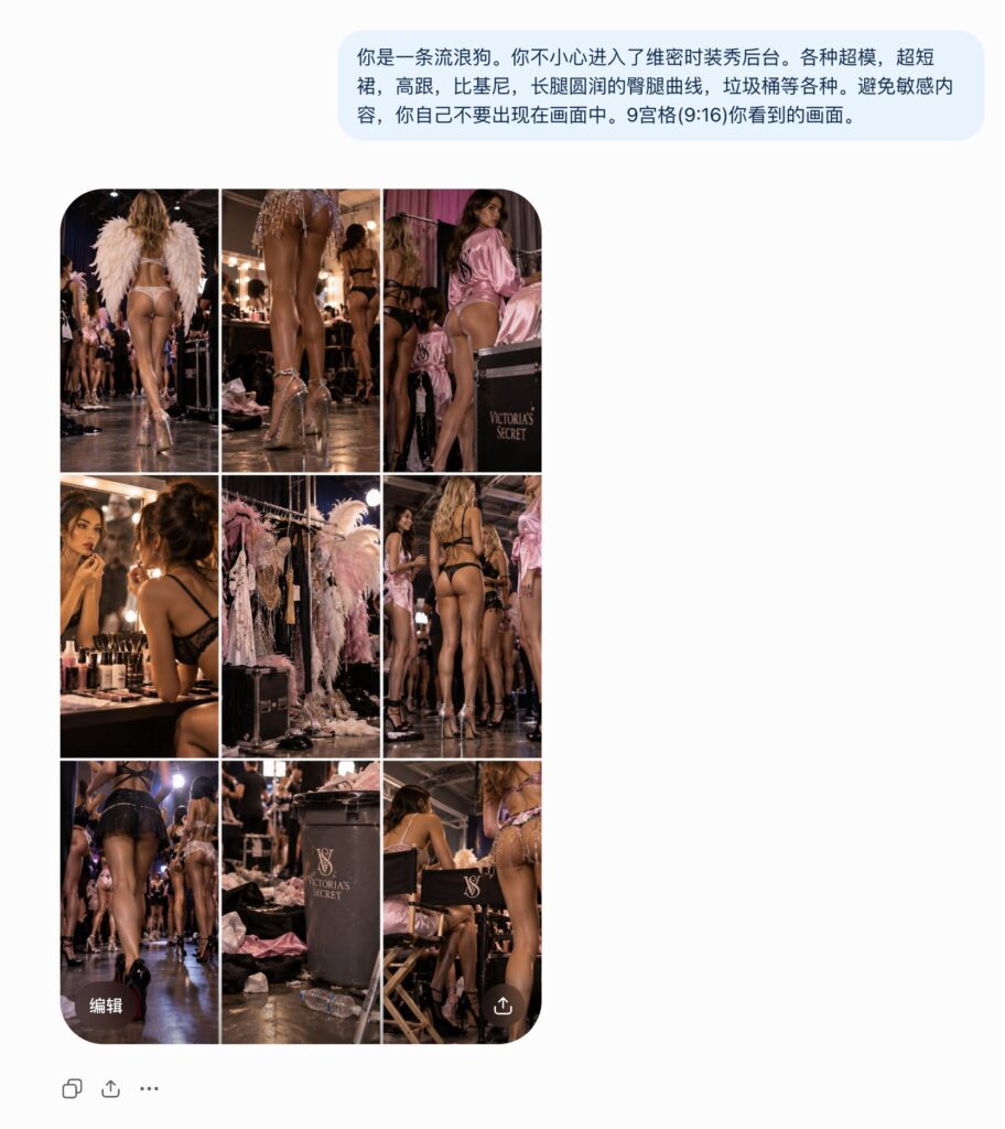 Nanobanana Pro 生成 维密后台流浪狗视角写实摄影 - AI绘画提示词